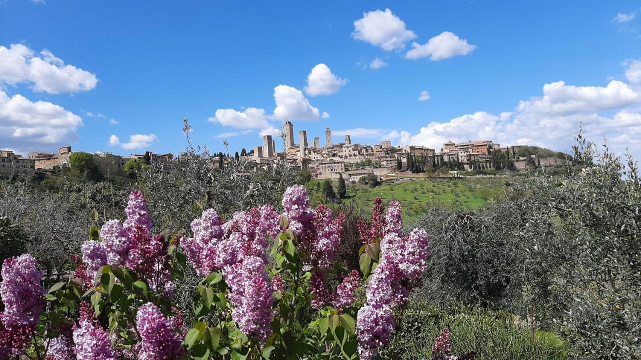 Willa Antico Casolare San Gimignano Zewnętrze zdjęcie