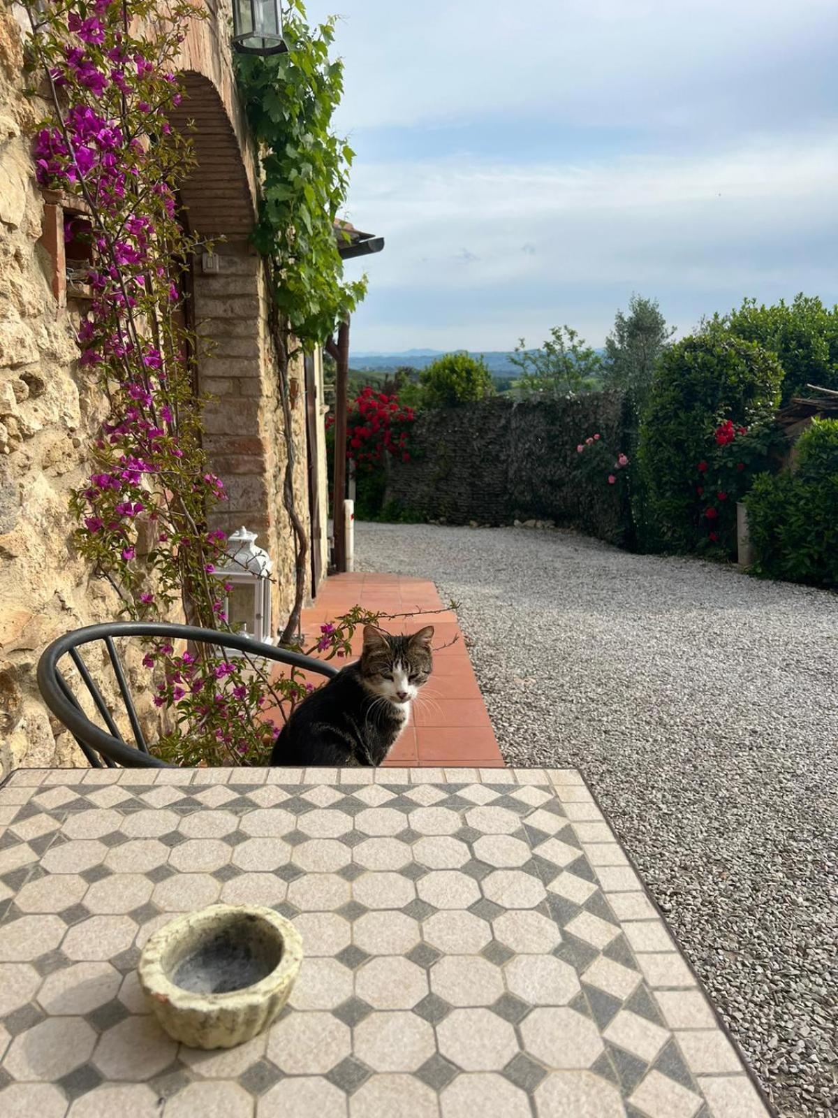Willa Antico Casolare San Gimignano Zewnętrze zdjęcie