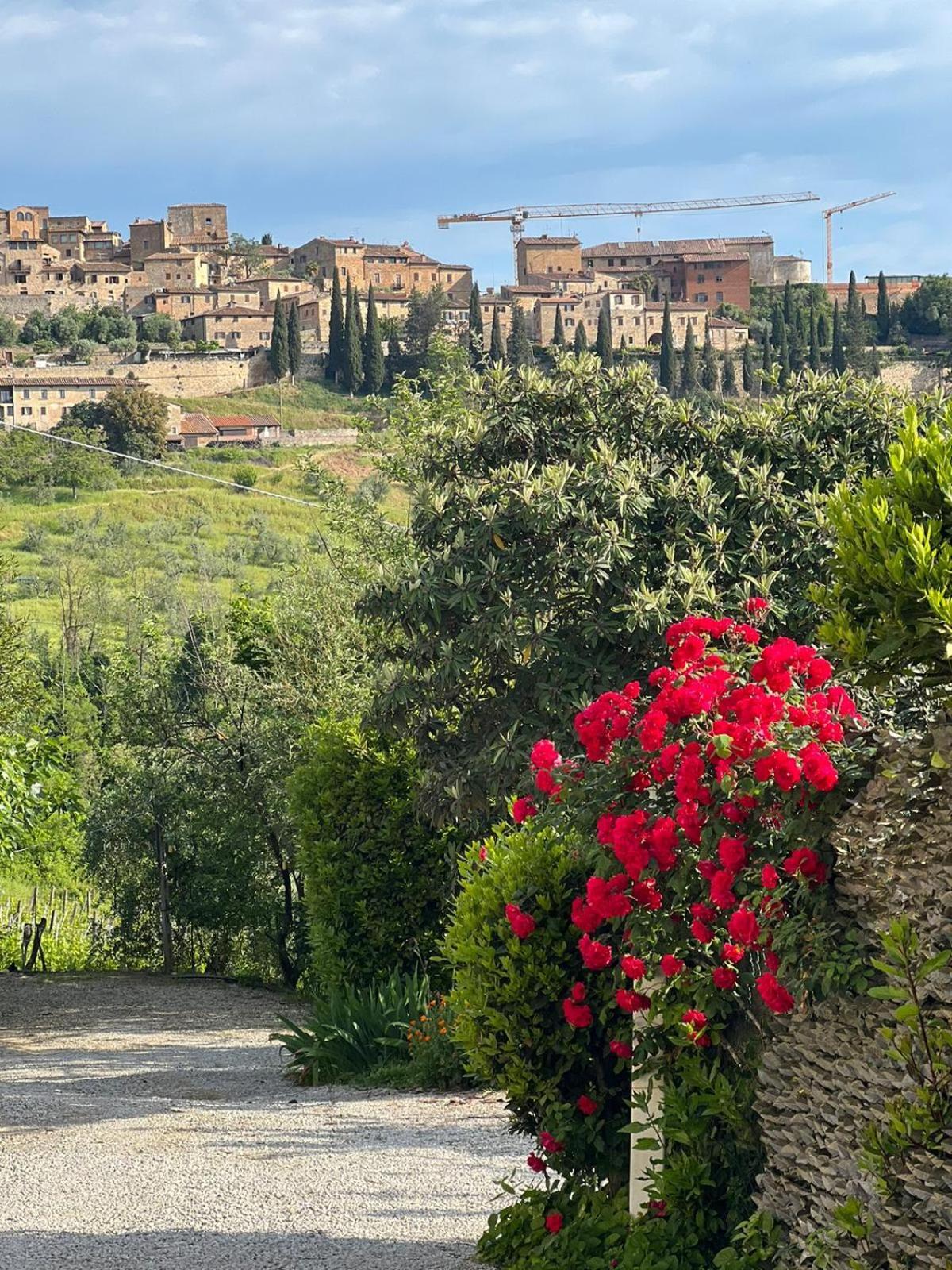 Willa Antico Casolare San Gimignano Zewnętrze zdjęcie