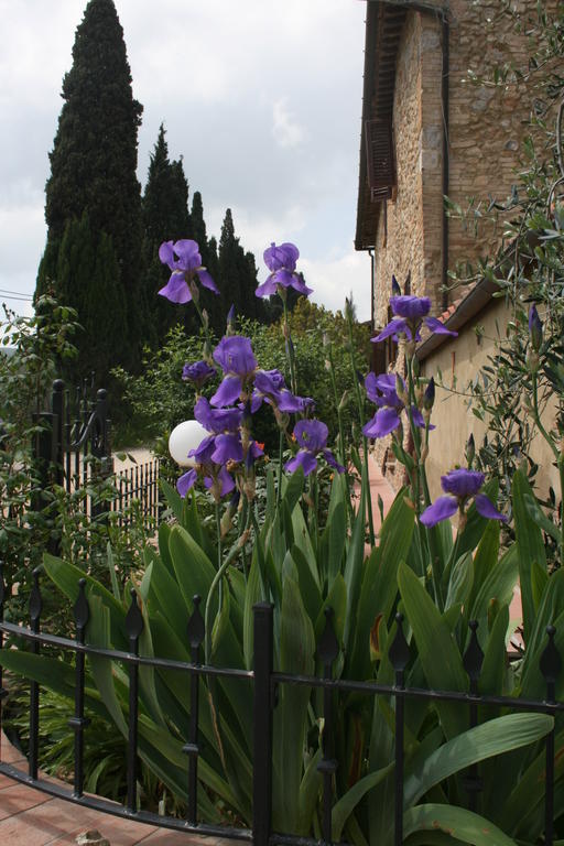 Willa Antico Casolare San Gimignano Zewnętrze zdjęcie